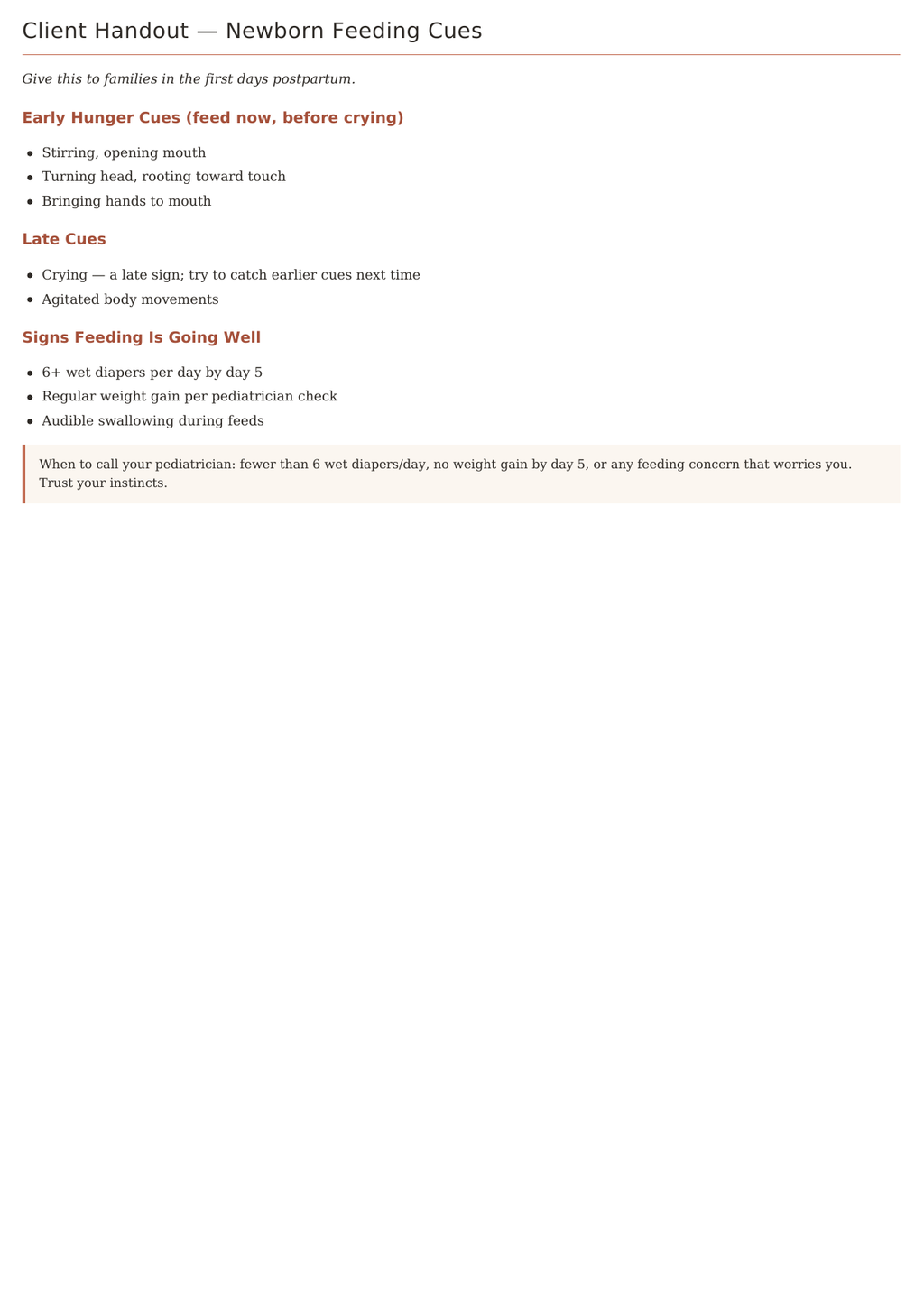 The Doula Practice System — Client & Business Template Kit (Digital Download)